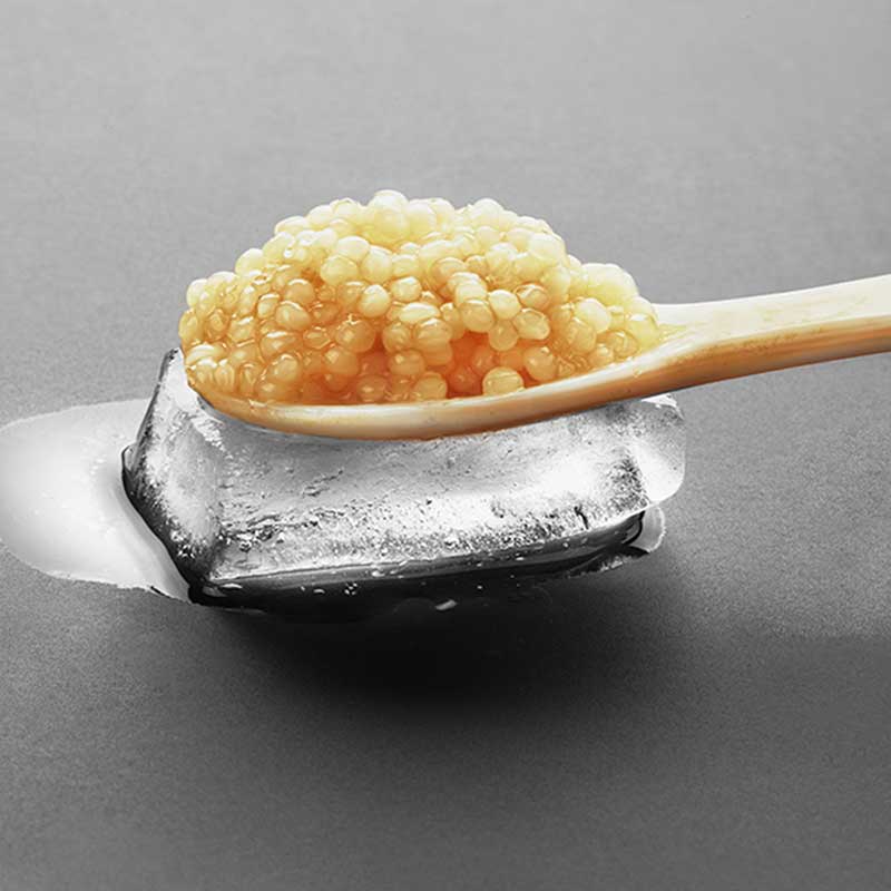 Какво е Kest Kawior