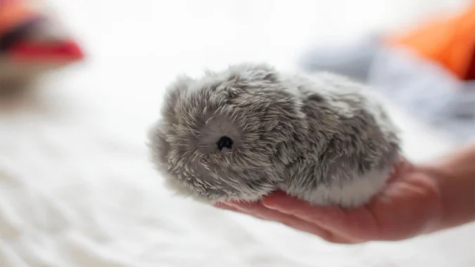 Дали Moflin е робот