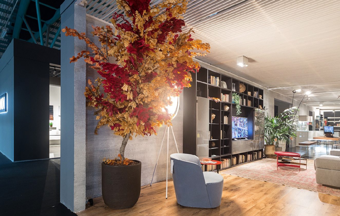 Как да стабилизирате растенията Blog