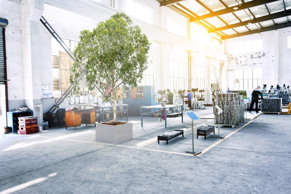 Как да стабилизирате растенията