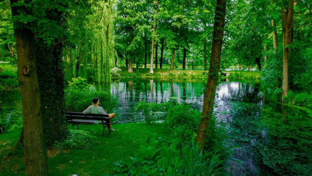 Хотел Manor House Park