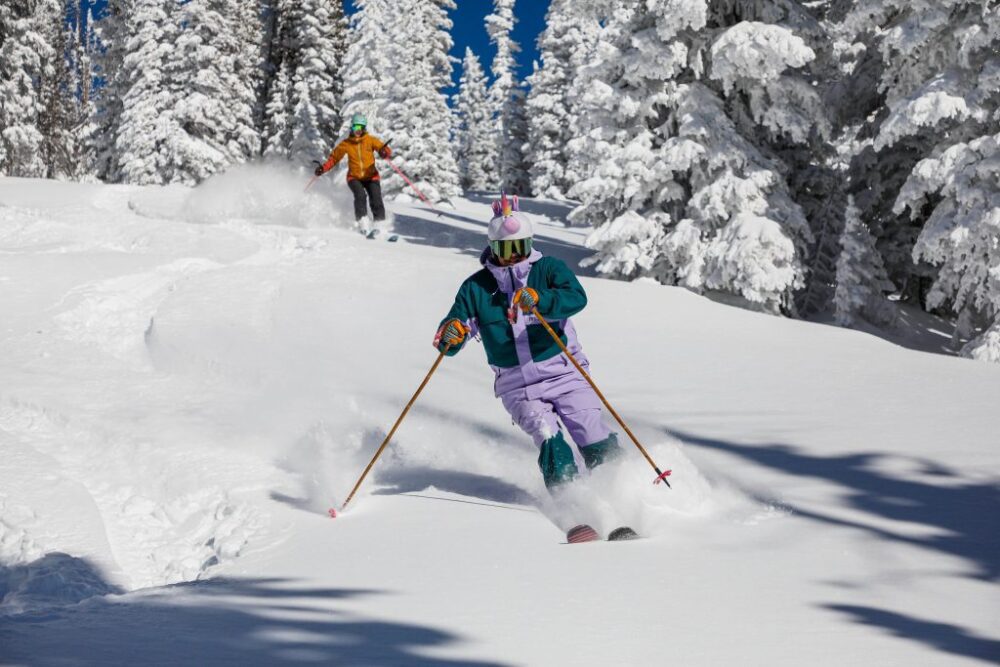 Колко струват премиум ски