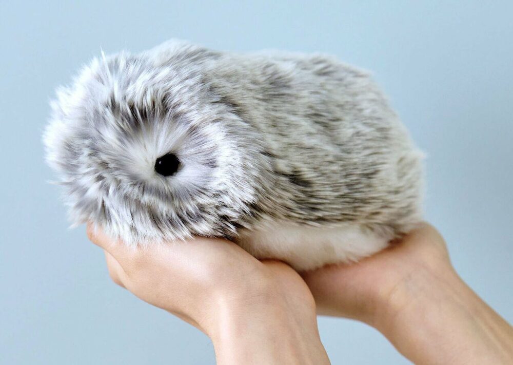 Moflin Може ли да се купи в Полша