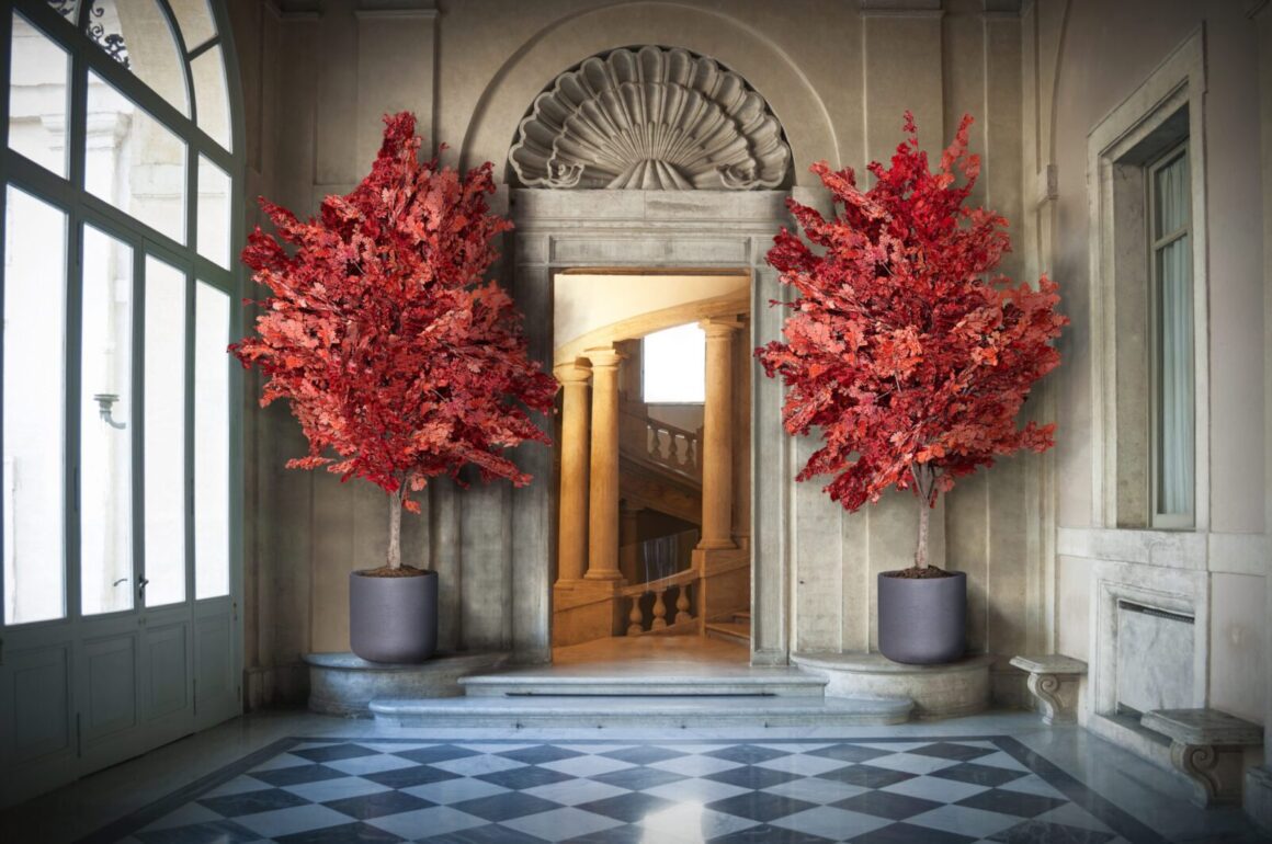 Какво Представлява Стабилизирането на Растения