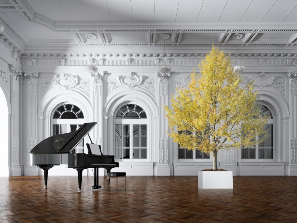 Стабилизирани растения