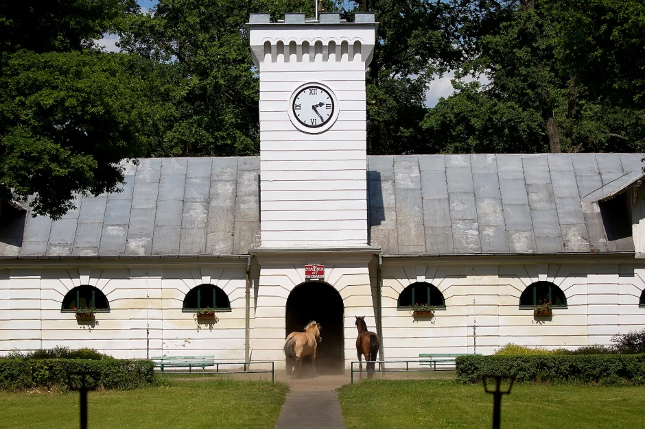 Арабски конни ферми в Полша