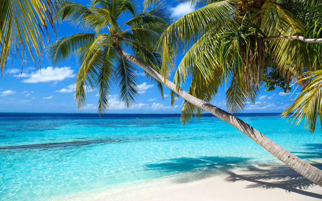 Ваканция на Карибите