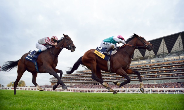 Frankel побеждава Cirrus Des Aigles 20 10 12 Снимка Бил Селуин